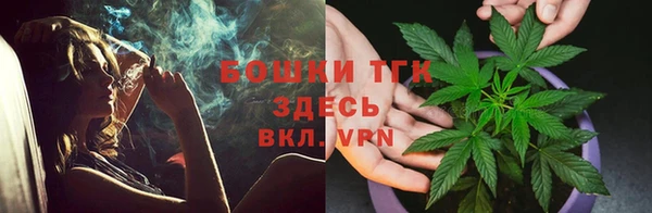 МДПВ Нея
