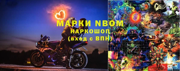 ГАЛЛЮЦИНОГЕННЫЕ ГРИБЫ Горнозаводск