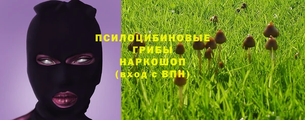 мяу мяу кристалл Горно-Алтайск