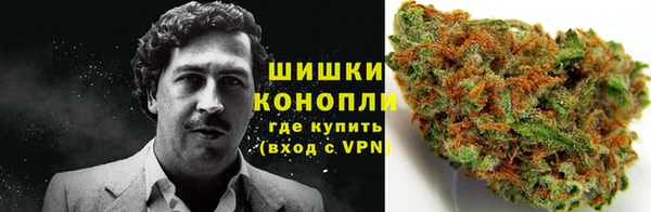амф Михайловск