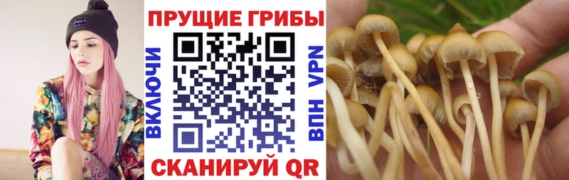 Псилоцибиновые грибы GOLDEN TEACHER  Сурск 
